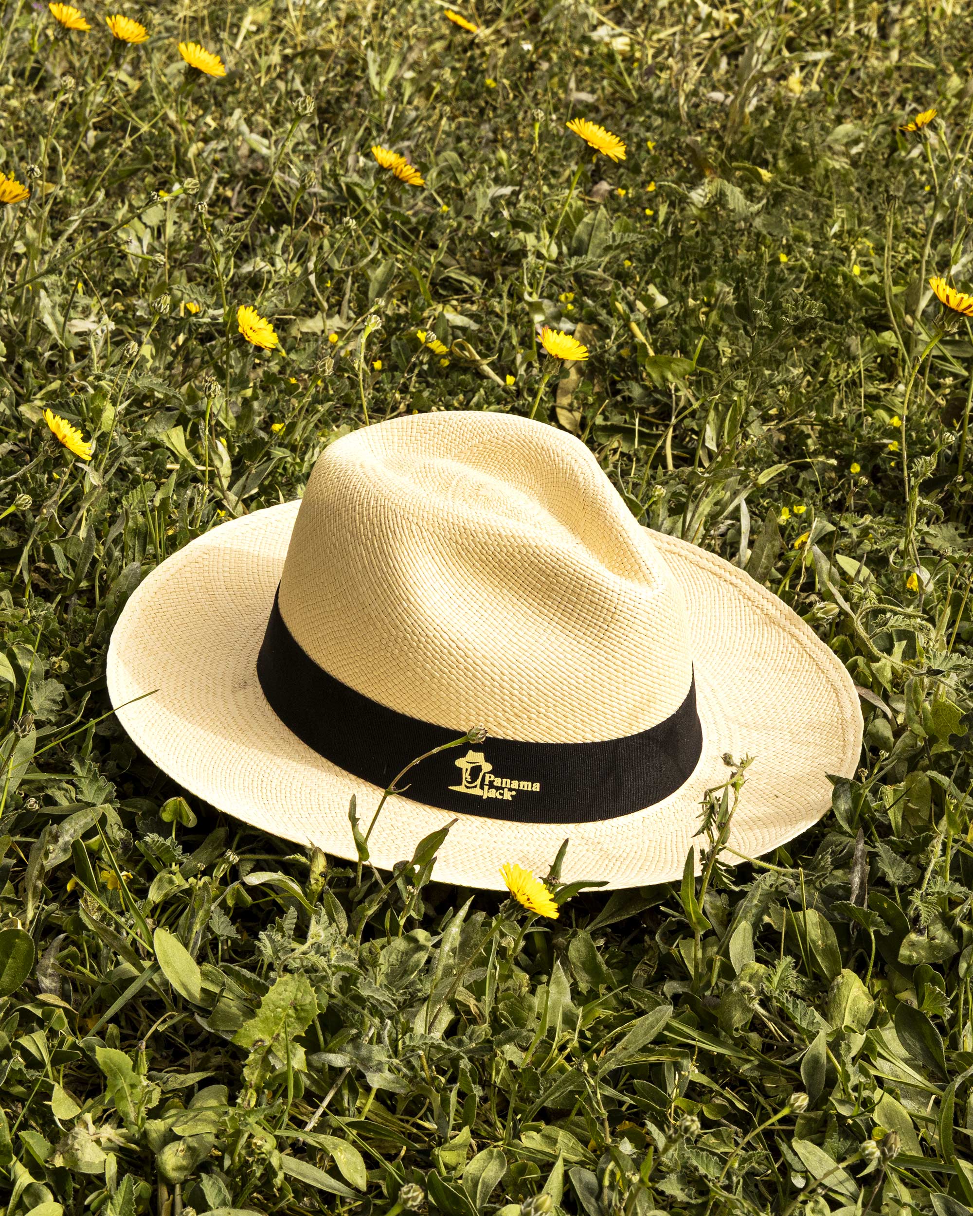 Colecciones – Panama Jack