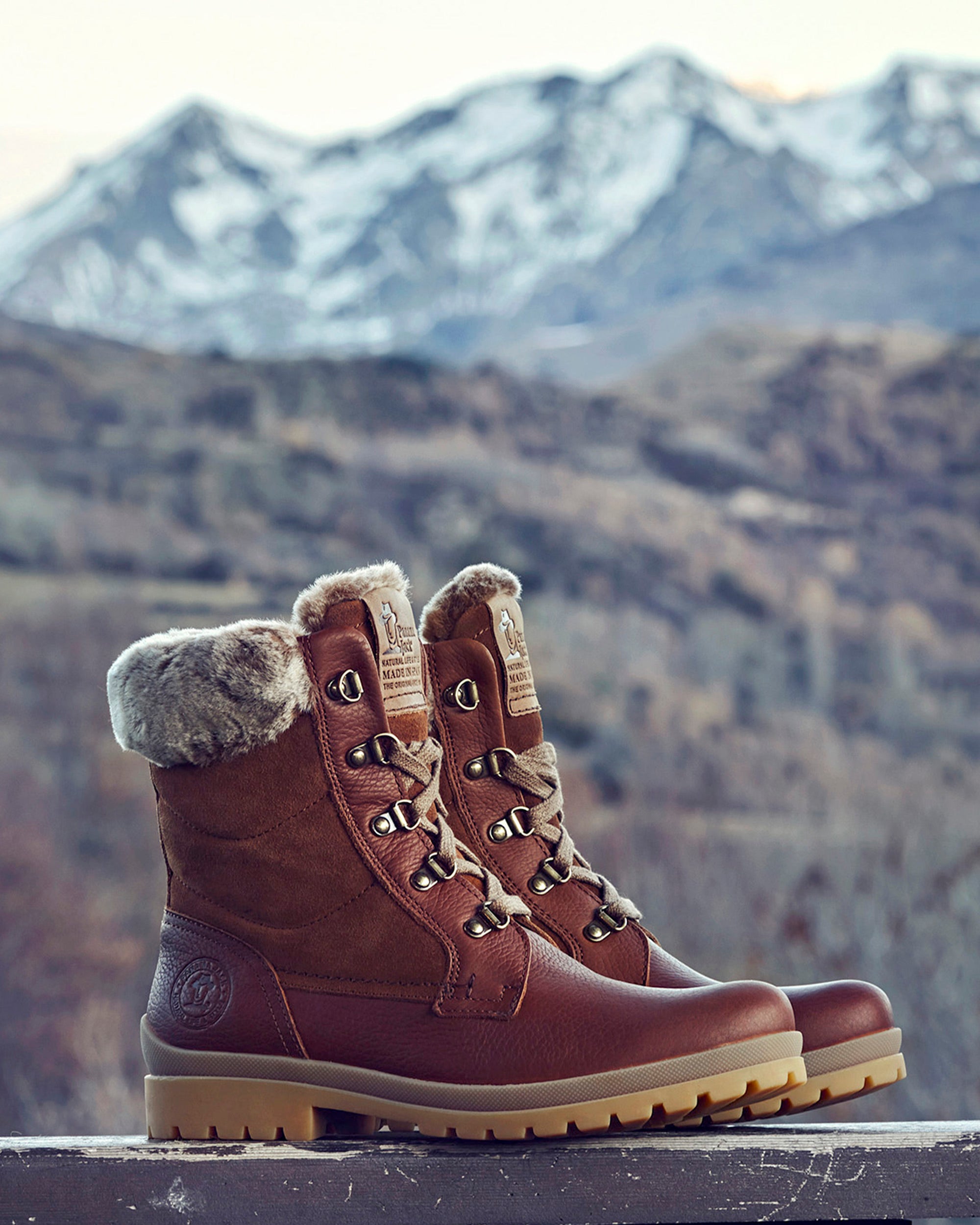 Botas Panama Jack Mujer Pelo Tipo Panama Botines Estilo Panama